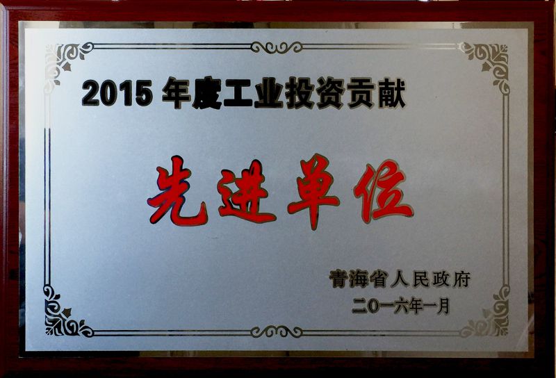 2015年度工業(yè)投資貢獻先進(jìn)單位