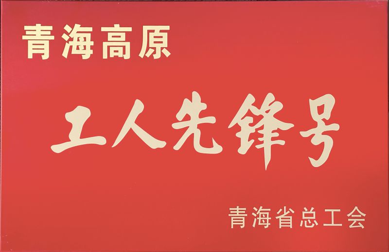 物產(chǎn)工投公司電解二車(chē)間被命名青海高原“工人先鋒號”